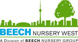 Beech Nursery